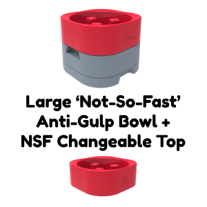 Not So Fast Anti-Gulp Dog Bowl with Anti-Gulp Changeable Top